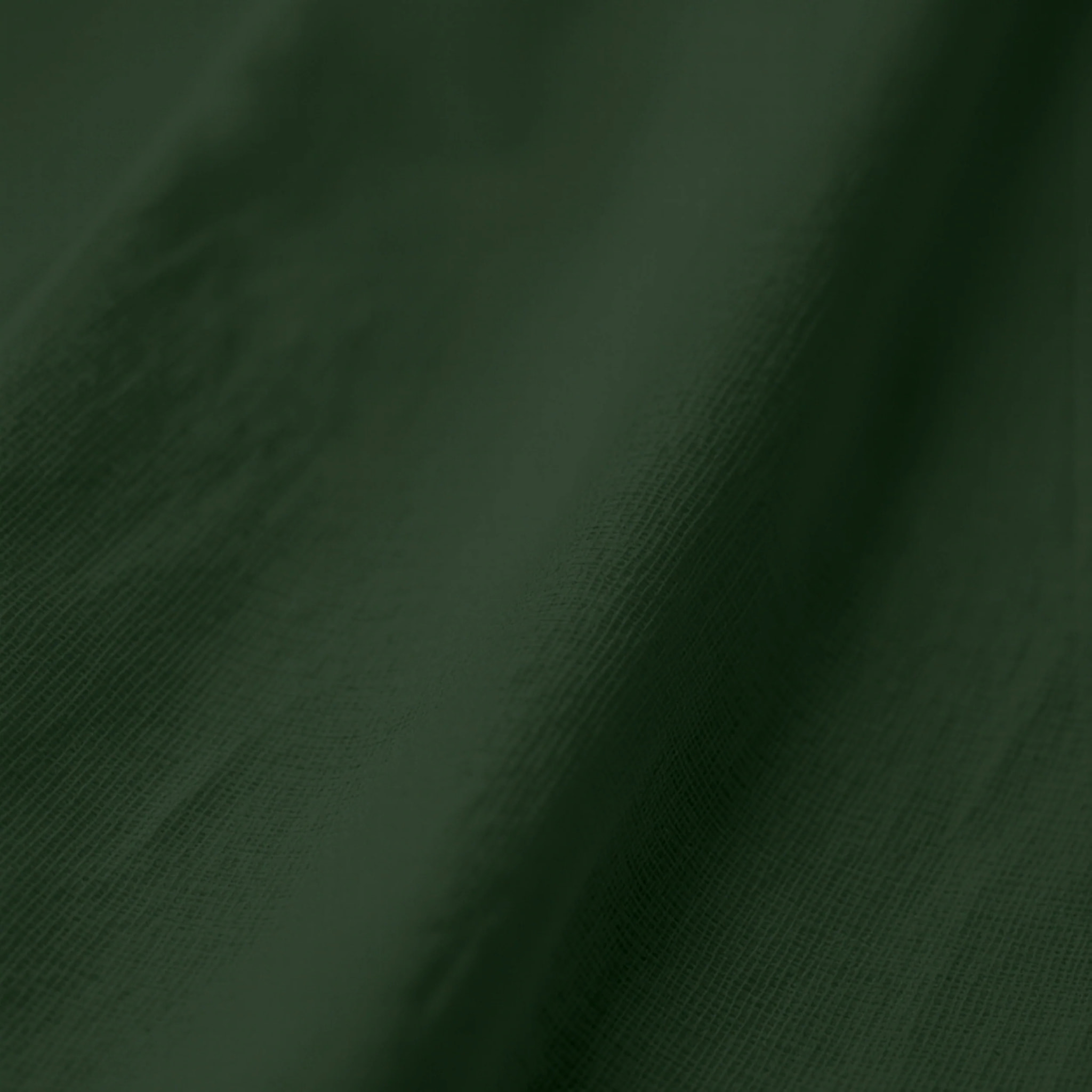 Lot de 2 serviettes Vert Uni