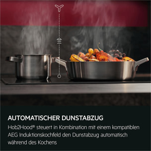 AEG Campana extractora decorativa Serie 6000 Hob2Hood de 60 cm GB67D61HL