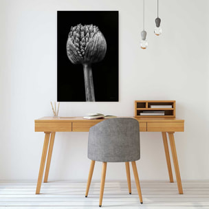 Cadre deco fleurs Spring Palm Tableau plexiglas