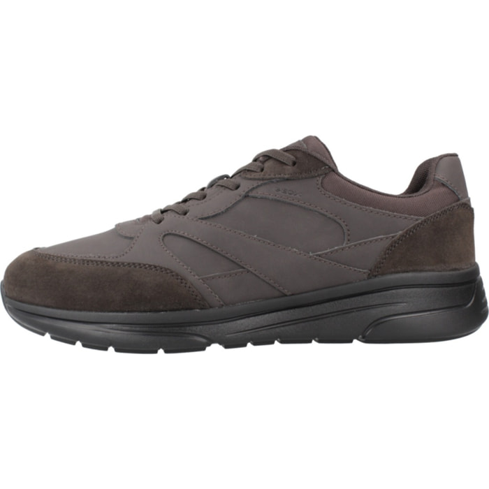 Sneakers de  Hombre de la marca GEOX  modelo U KLAIVER MARRON