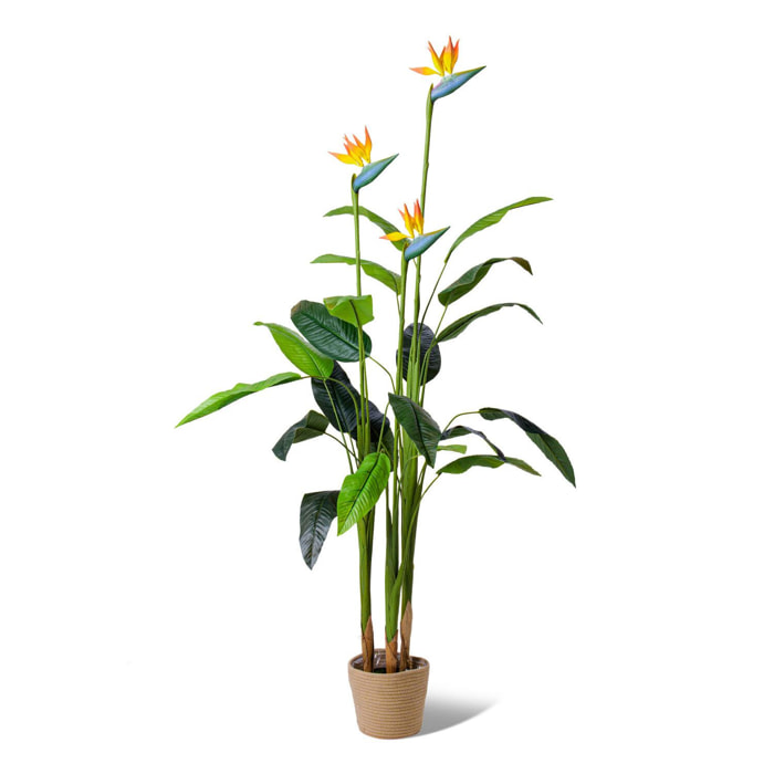 Bird of Paradise - Pianta Artificiale in vaso H160 cm