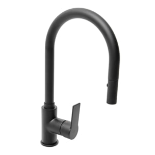 Mélangeur évier Swiss Aqua Technologies B-Way avec bras pivotant, 2 jets noir mat SATBSBW183