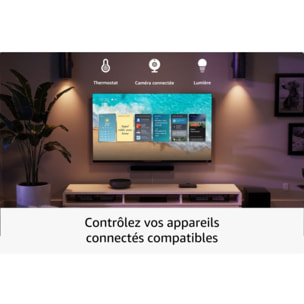 Passerelle multimédia AMAZON Fire TV Stick 4K max 2024