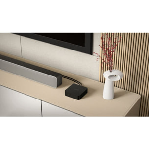 Lecteur réseau HiFi WIIM Pro +