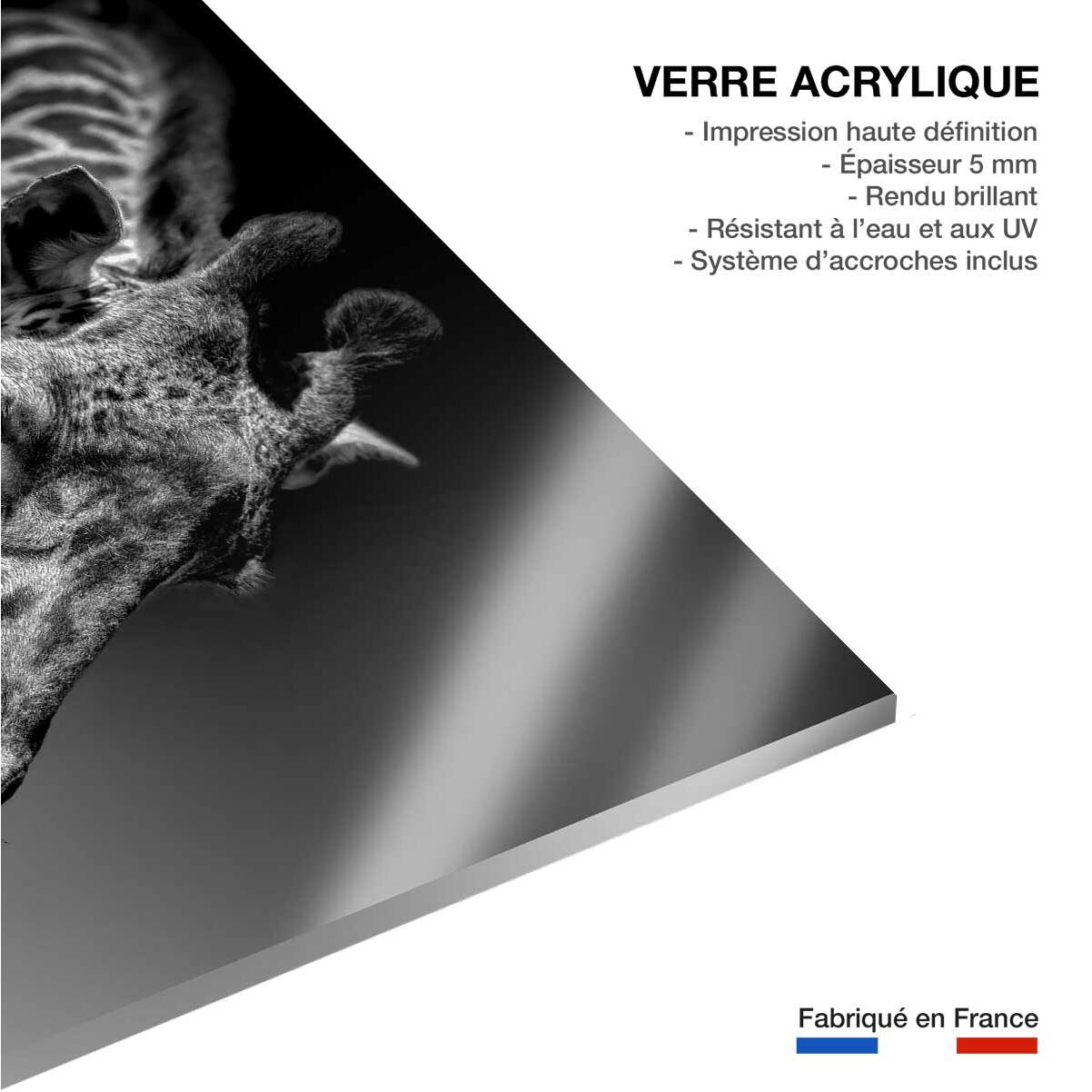 Tableau animaux girafe discrète Tableau plexiglas