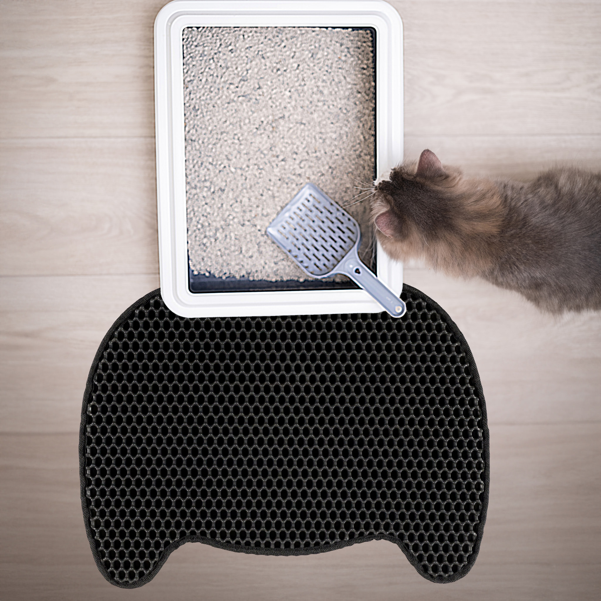 Tapis De Litiere