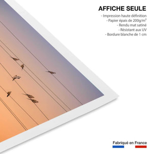 Affiche oiseaux Music of Light Affiche seule