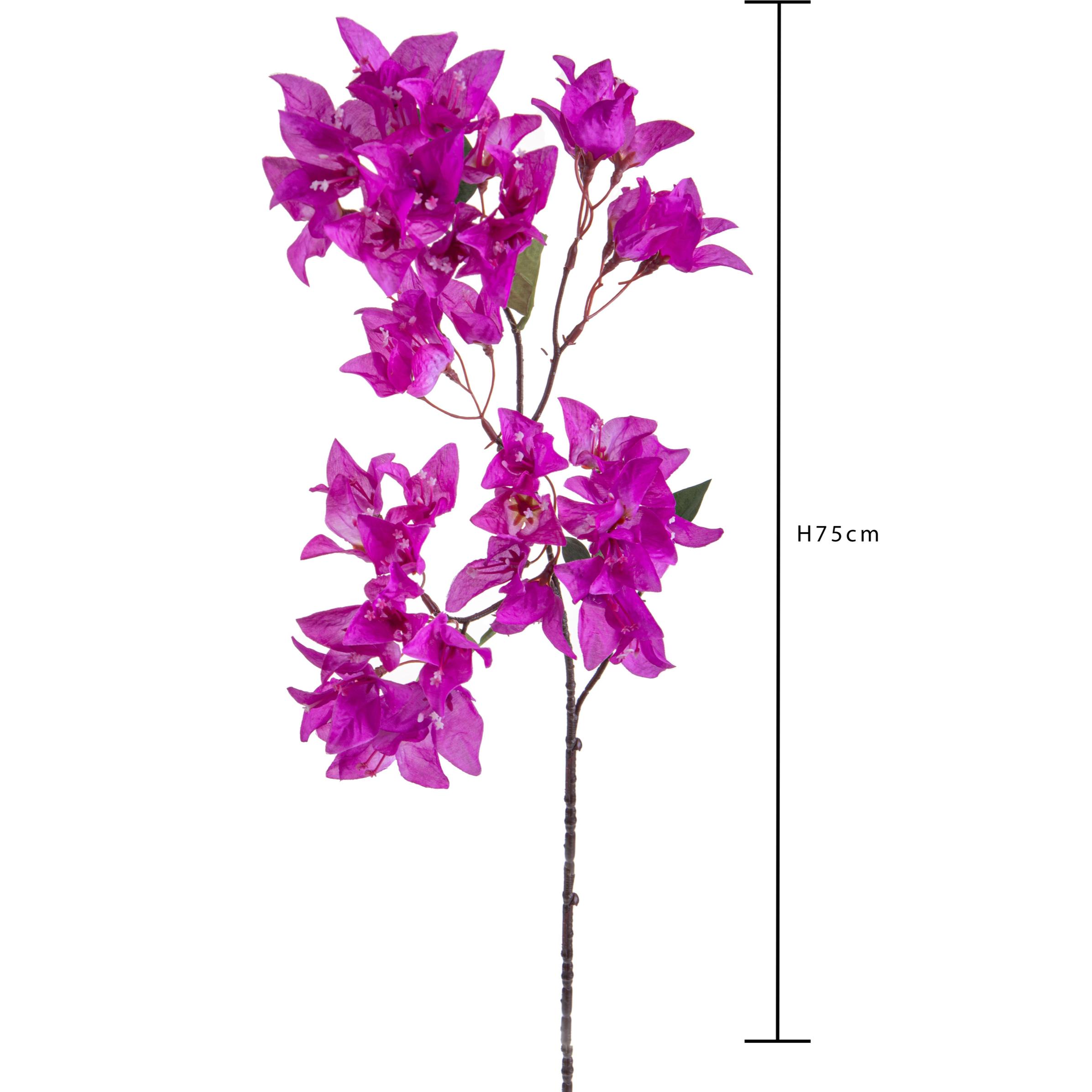 Bouganville 75 Cm - Pezzi 6 - 16X75X16cm - Colore: Viola - Bianchi Dino - Fiori Artificiali