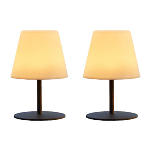 Lot de 2 lampes de table sans fil LED TWINS H16CM