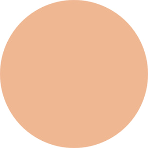 VIRTUOUS SKIN Fondotinta vegan dal finish "natural glow"