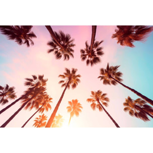 Tableau palmier rose beverly hills sunset  Toile imprimée