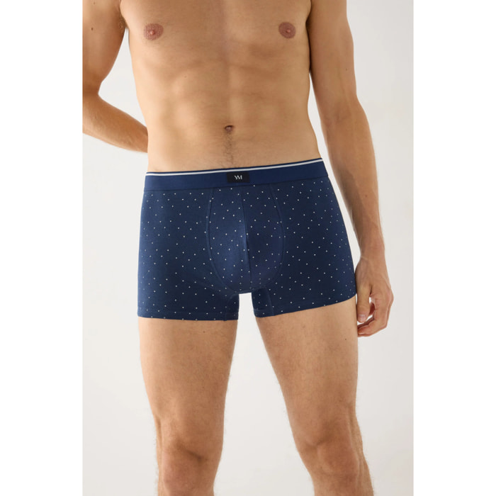 Boxer