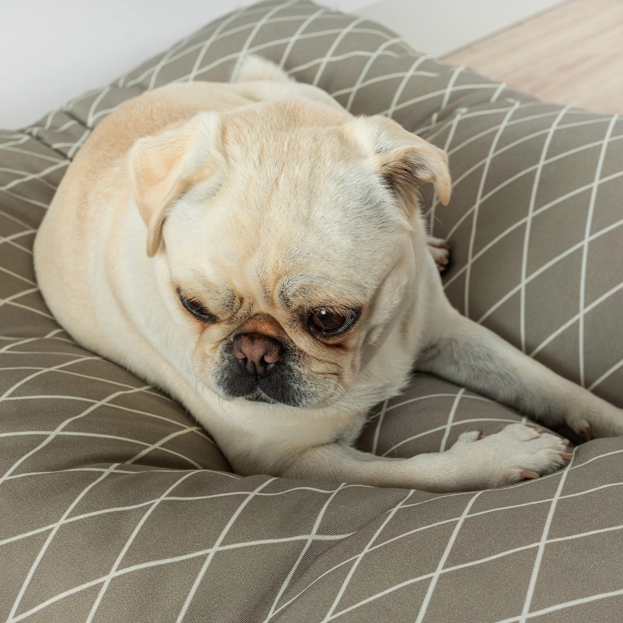 Lit épais et rembourré pour chiens et chats, 100 % coton anti-taches, pour animaux 0120-294
