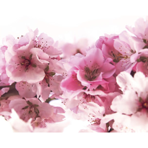 Rideau de douche Polyester AMANDA 180x200cm Fleur Rose Spirella