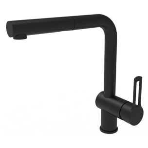 Vallone Mitigeur de cuisine avec douchette extractible, noir mat (RIN185NO)