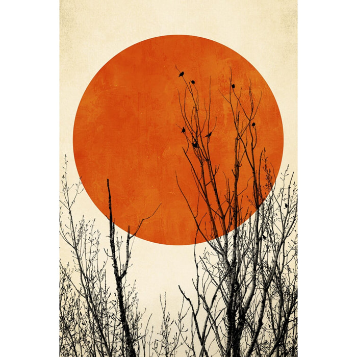 Tableau astronomie lueur hivernale  Tableau alu Dibond