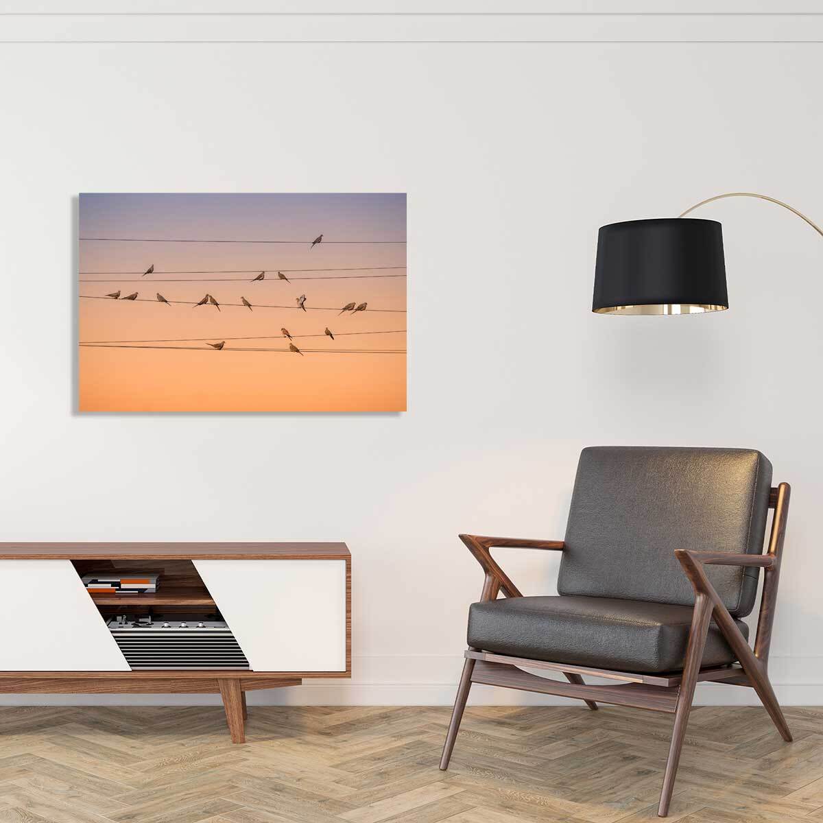 Tableau oiseaux Music of Light Toile imprimée