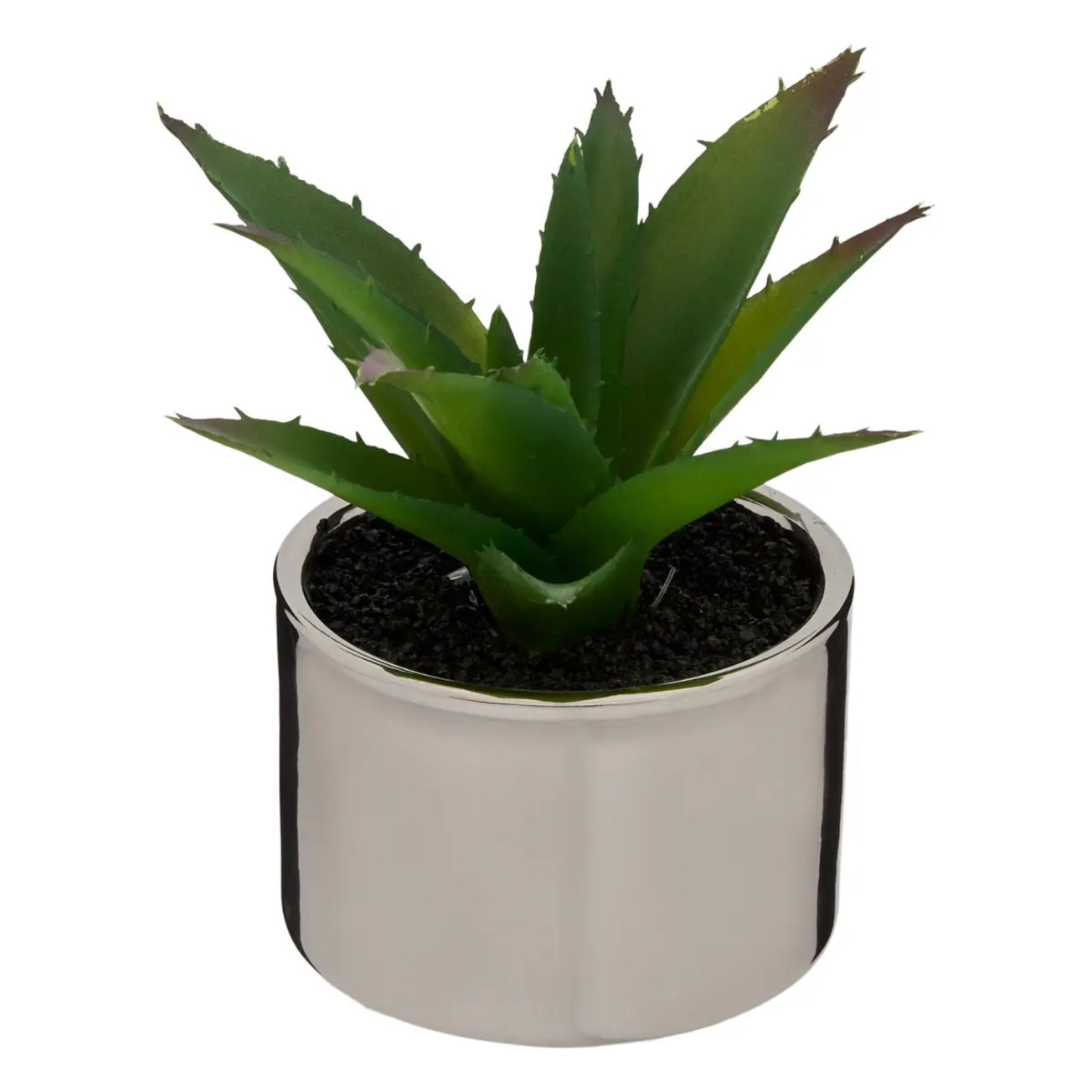 Plante verte pot céramique H.15