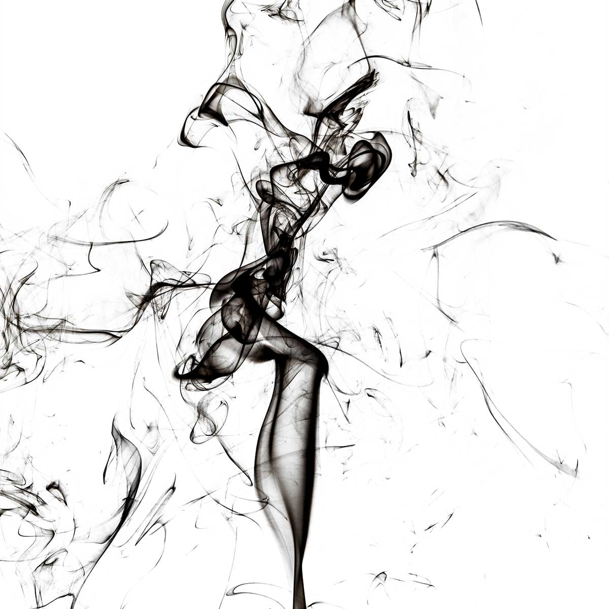 Tableau  black smoke tulip dream Toile imprimée