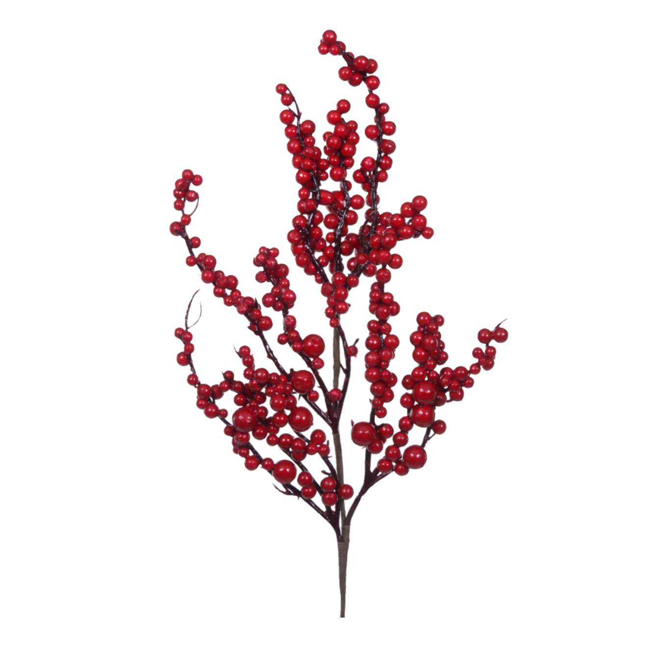 Ramo ilex - Pezzi 12 - 5xH60x5cm - Bianchi Dino SpA