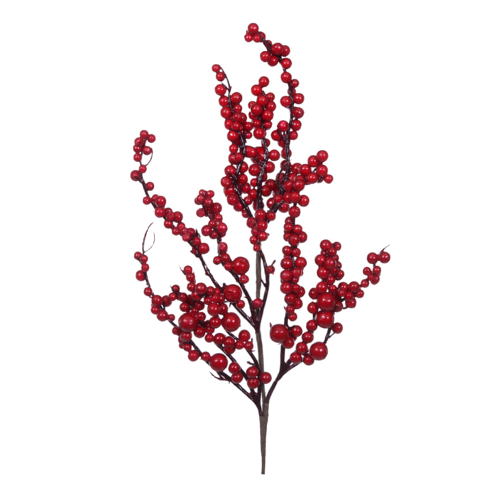 Ramo ilex - Pezzi 12 - 5xH60x5cm - Bianchi Dino SpA