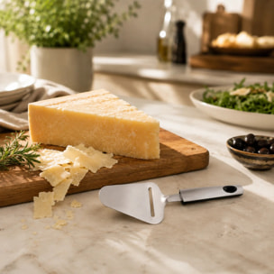 Coupe fromage 25 cm