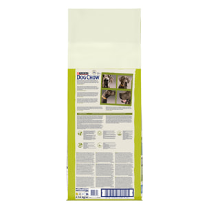 DOG CHOW Chien Adult Large Dinde 14KG