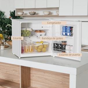 Mini Nevera Silenciosa 46 L Clase E Frigorífico Pequeño Nevera Pequeña con Temperatura Regulable y Puerta Reversible Bajo Nivel de Ruido y Consumo 48x44x49 cm Blanco