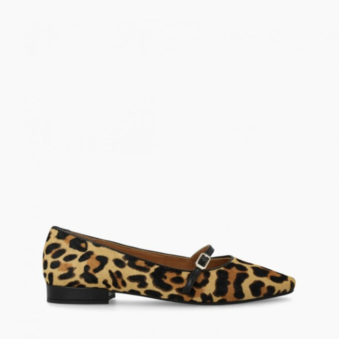 BAILARINAS ANIMAL PRINT AMB5042INO