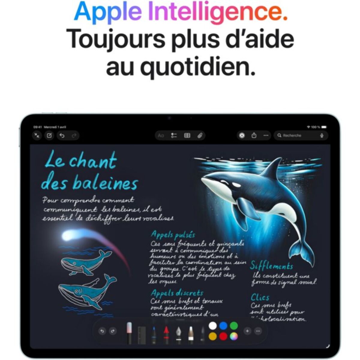 Tablette Apple IPAD Air 11 M4 128Go Gris Sidéral 2026