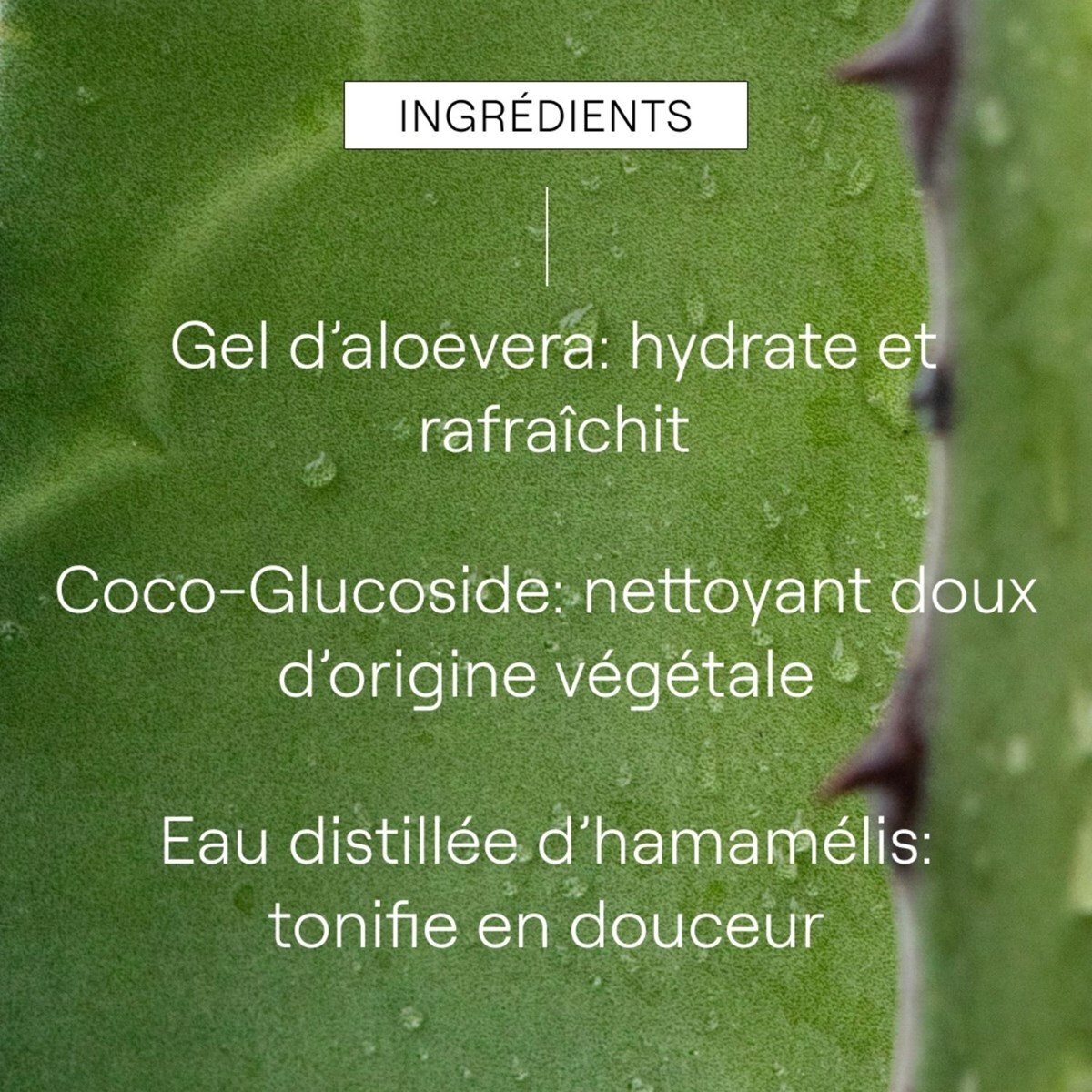 WELEDA -  Gel nettoyant rafraîchissant 150ml