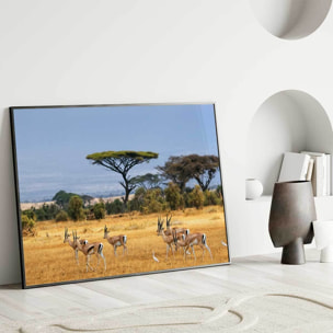 Affiche encadrée antilopes dans la savane africaine Affiche + cadre en métal - Noir