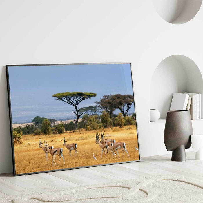 Affiche encadrée antilopes dans la savane africaine Affiche + cadre en métal - Noir