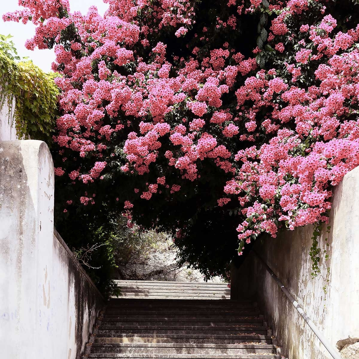 Affiche welcometoportugal secret street Affiche sous cadre bois