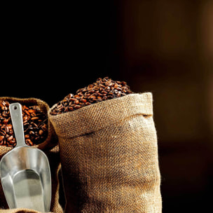 Affiche encadrée sacs grains de café fond noir Affiche + cadre en métal - Noir