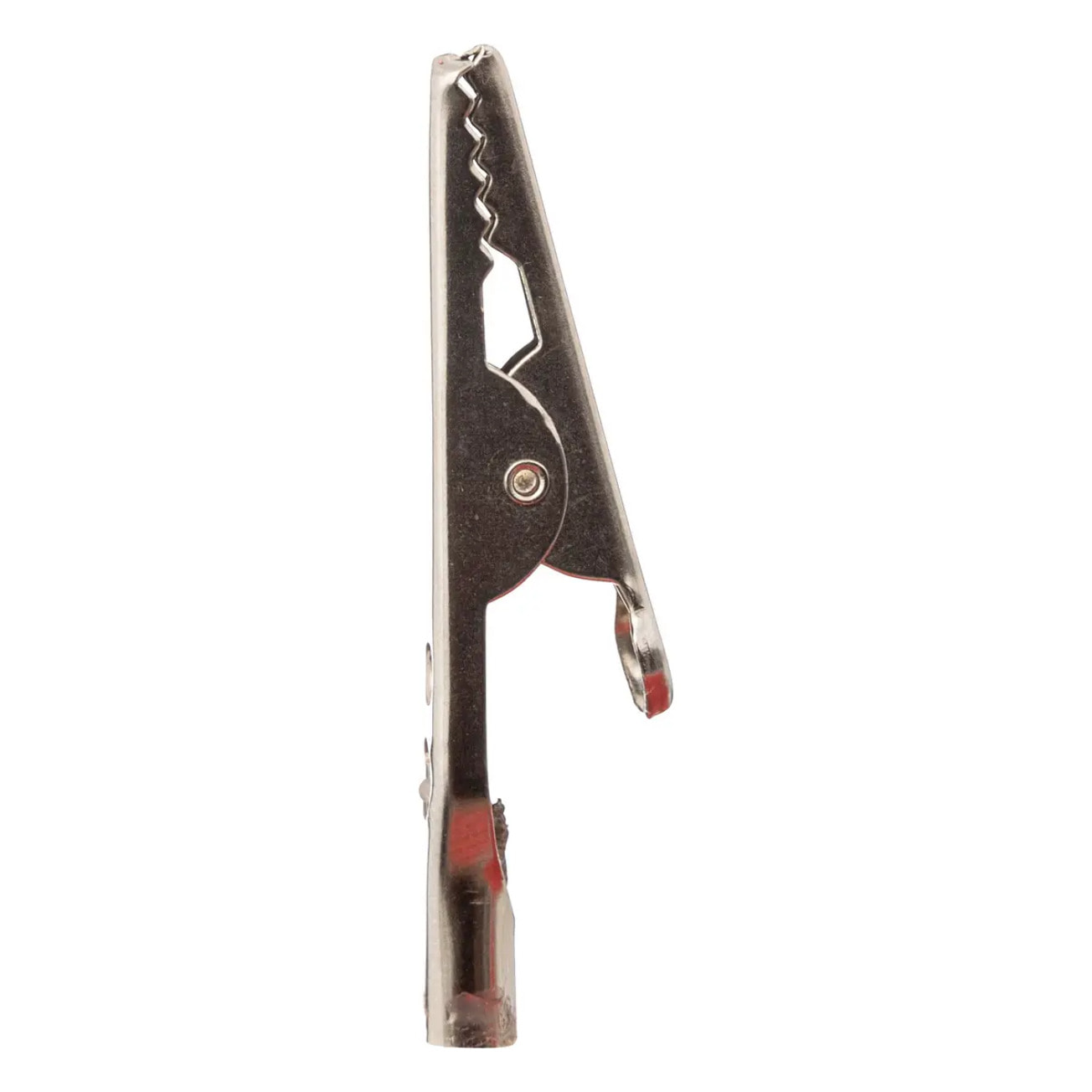 Sujet magnolia 22cm rouge