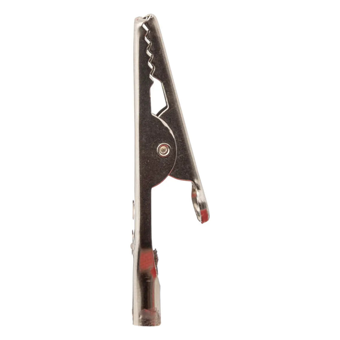 Sujet magnolia 22cm rouge