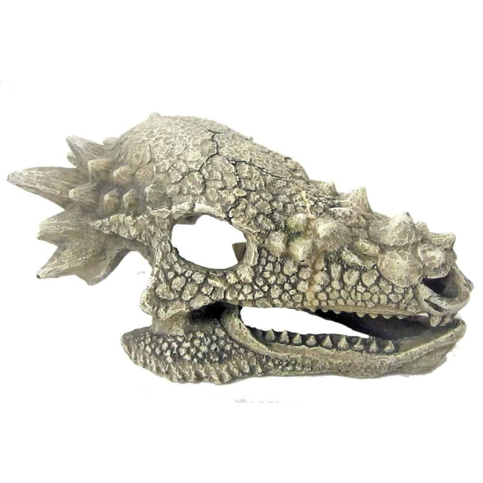 Teschio drago decorativo acquario - Amtra