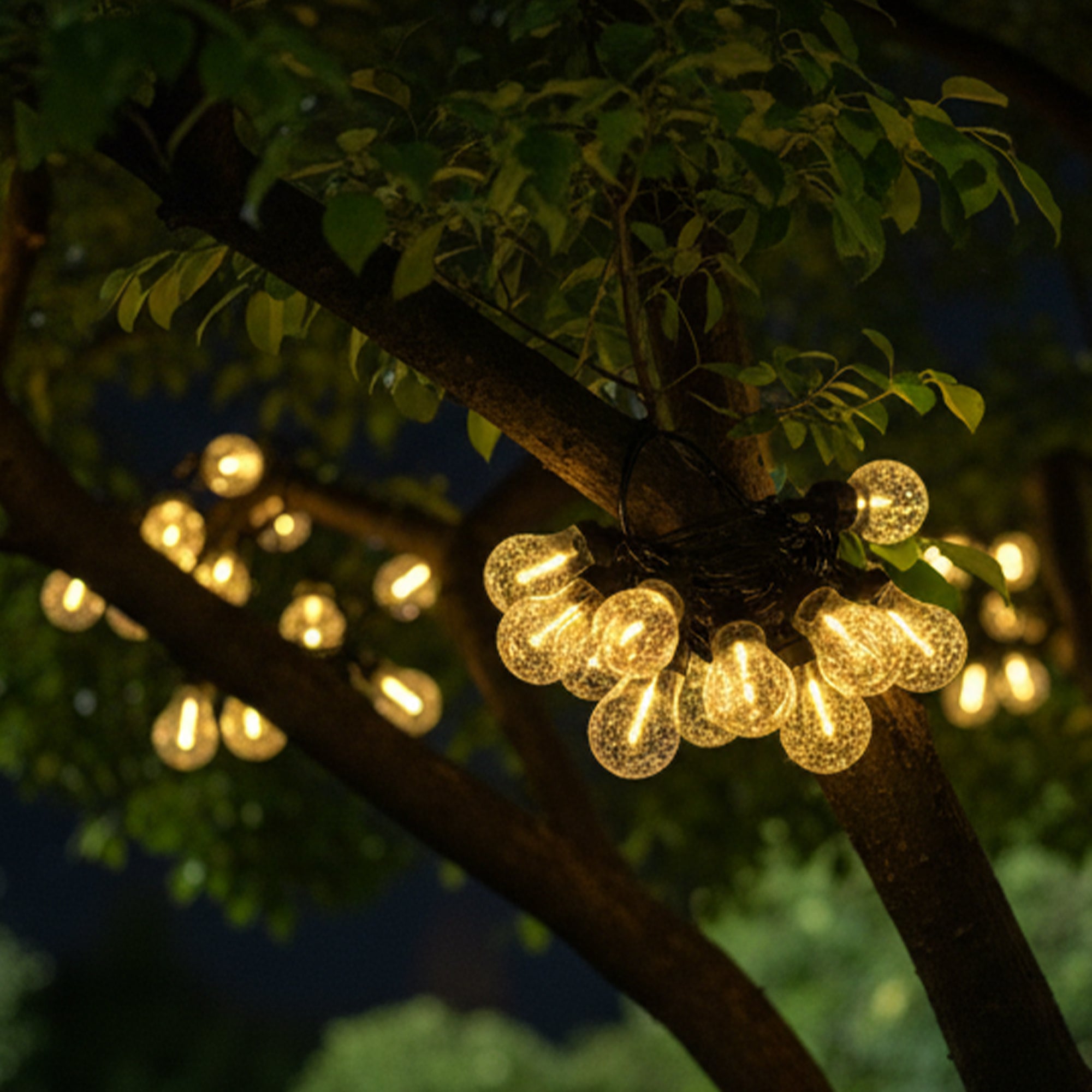 Guirlande solaire BUBBLE 25 LED 20M