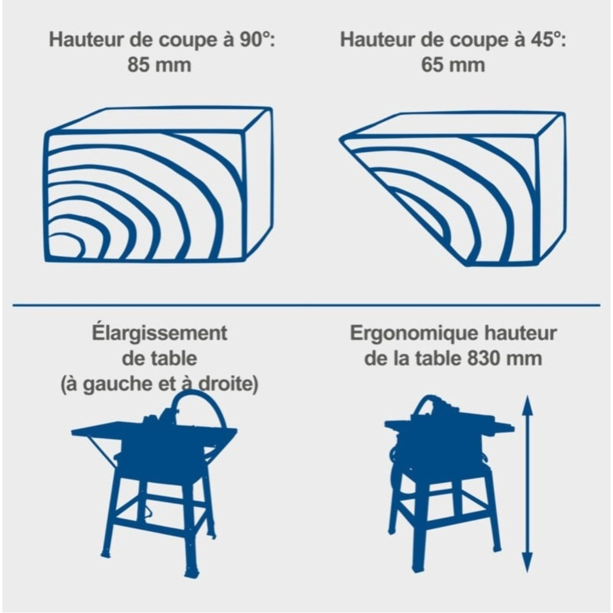 Scie circulaire sur table HS100S - Puissance 2000 W - Lame Ø 250 x 30 mm - Hauteur de coupe max 85 mm - Dimensions de la table 940 x 642 mm - SCHEPPACH - 5901310901