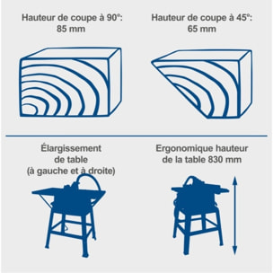 Scie circulaire sur table HS100S - Puissance 2000 W - Lame Ø 250 x 30 mm - Hauteur de coupe max 85 mm - Dimensions de la table 940 x 642 mm - SCHEPPACH - 5901310901
