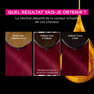 Garnier Olia Coloration 6.66 Carmin Eclatant