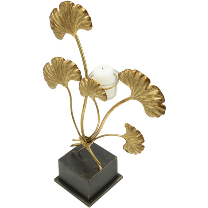 P/CAND GLAM IRIS CM 29X12,5X44