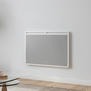 Panneau Rayonnant 1000w