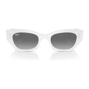 GAFAS DE SOL RAY BAN ZENA 0RB4430 675911