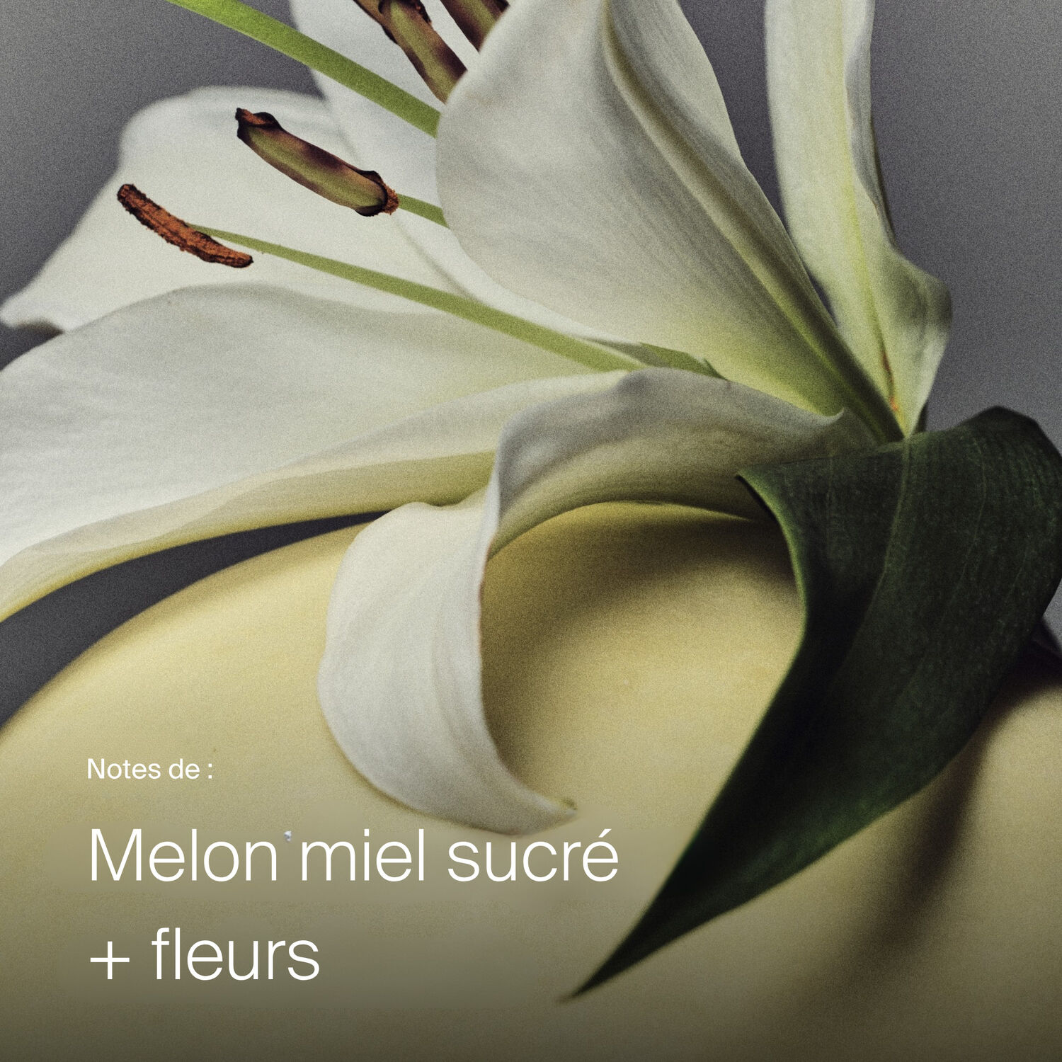 Full - Spray Volumateur et Texturisant 238 ml