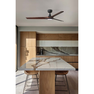 HEYWOOD L LED Ventilatore a soffitto nero/legno scuro