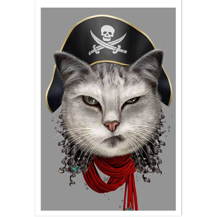 Affiche enfant chat pirate  Affiche seule