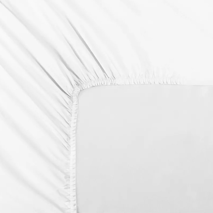 Drap housse b35 percale de coton uni blanc Giulia blanc