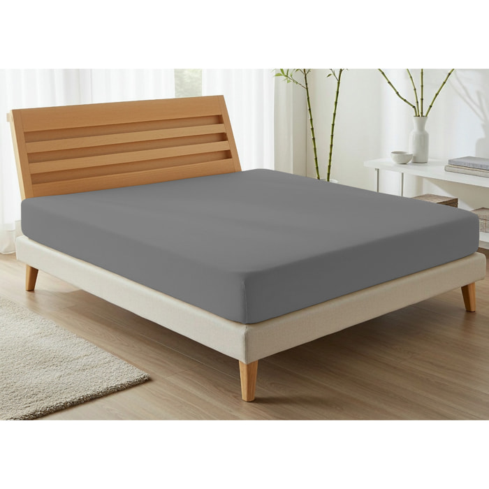 Lenzuolo Sotto Con Angoli No Stiro Tinta Unita Francesca Antracite